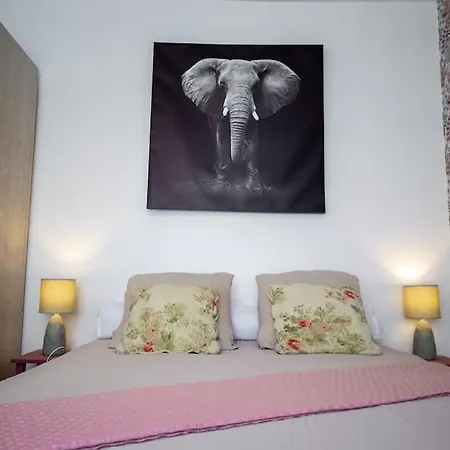 Le Petit Soleil Yourhosthelper Appartamento